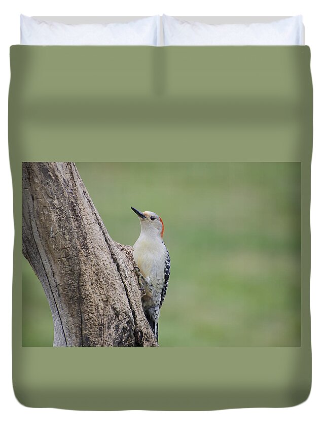 Woodpecker Duvet Cover featuring the photograph Pecker by Heather Applegate