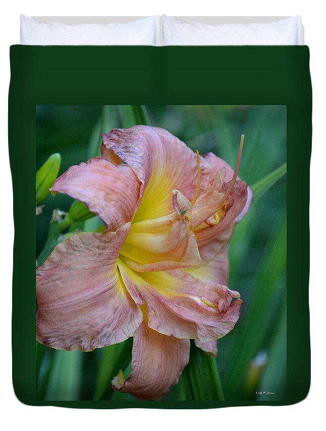 Peeping Baby Grasshopper On Lily Duvet Cover featuring the photograph Peeping Baby Grasshopper on Lily by Maria Urso