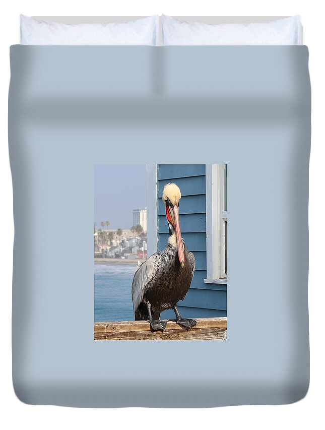 Wild Duvet Cover featuring the photograph Pelican - 4 by Christy Pooschke