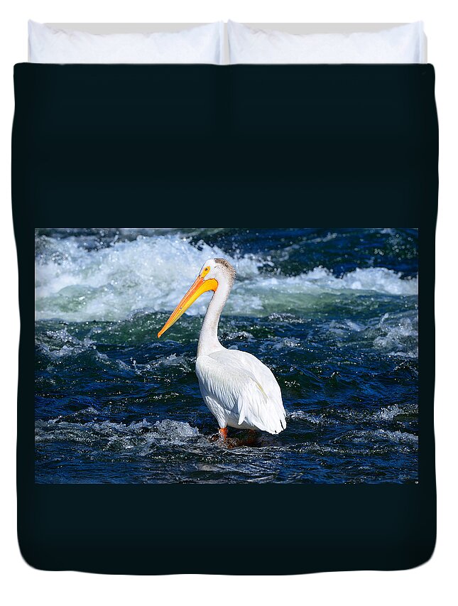 Pelican Duvet Cover featuring the photograph Pelican Portrait by Greg Norrell