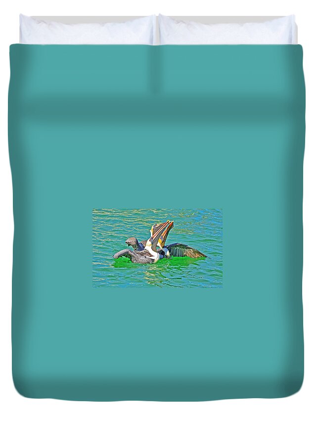Pelicans Duvet Cover featuring the photograph Pelican Trio by Chris Thaxter