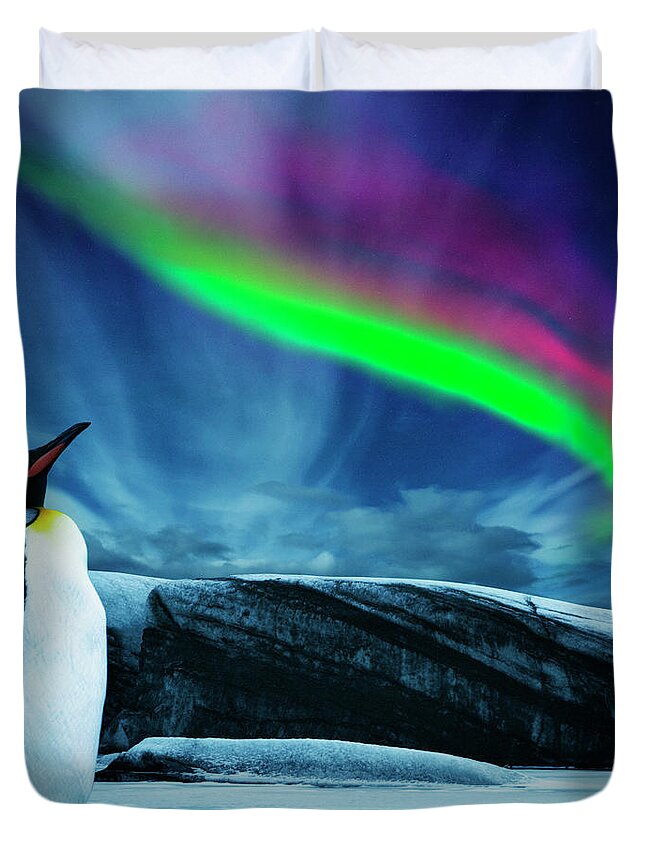 Scenics Duvet Cover featuring the photograph Penguin Under Southern Lights by Powerofforever