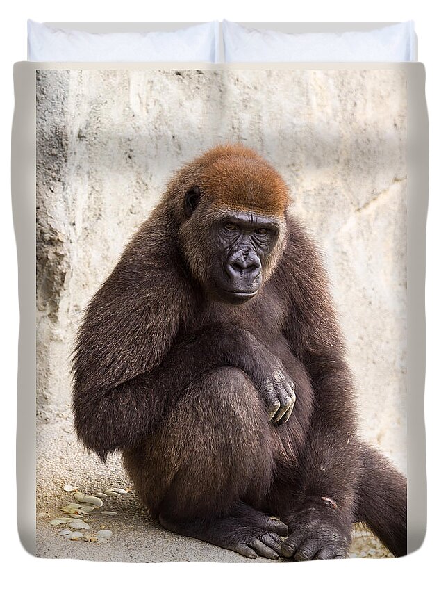 Africa Duvet Cover featuring the photograph Pensive Gorilla by Raul Rodriguez