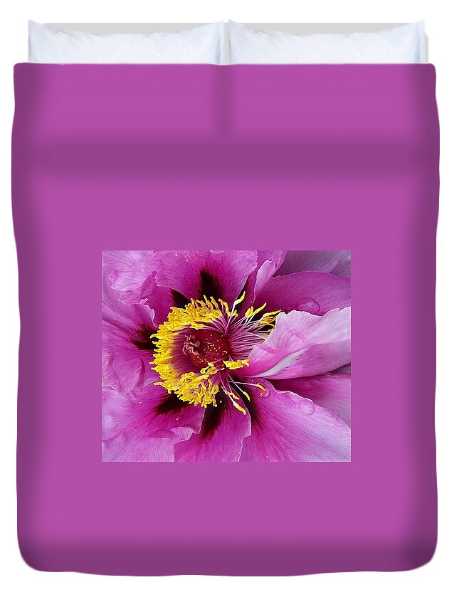 Peony Duvet Cover featuring the photograph Peony Revealed by Peter Mooyman