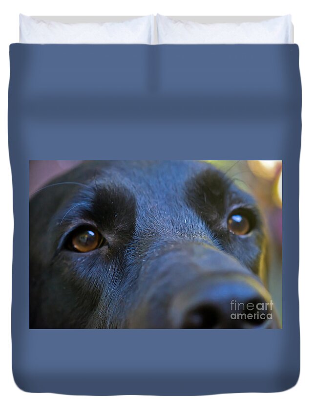 Dog Duvet Cover featuring the photograph Pepper by PatriZio M Busnel