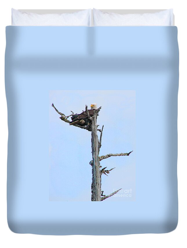 Eagle Duvet Cover featuring the photograph Perched Eagle by Vivian Martin