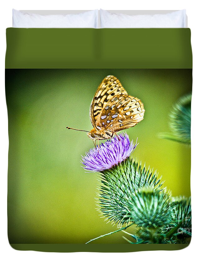 Great Spangled Fritillary Butterfly Duvet Cover featuring the photograph Perfect Butterfly by Cheryl Baxter
