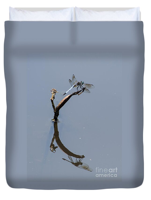 Insect Duvet Cover featuring the photograph Perfect Reflection by Donna Brown