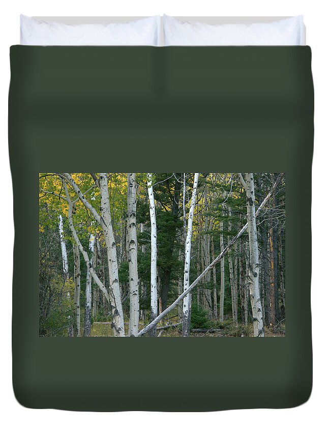 Gold Duvet Cover featuring the photograph Perfection In Nature by Frank Madia