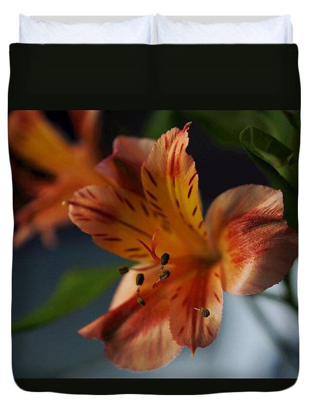 Matt Matekovic Duvet Cover featuring the photograph Peruvian Lily by Photographic Arts And Design Studio