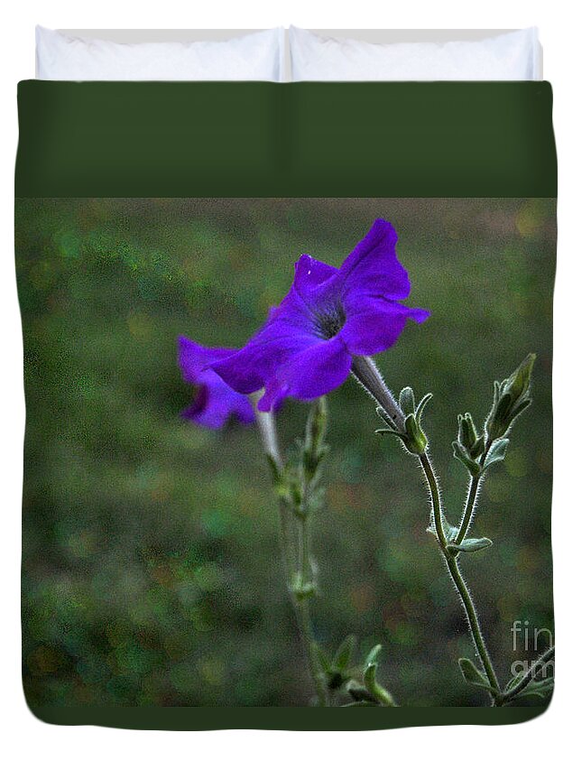 Purple Petunia Duvet Cover featuring the photograph Purple Petunia Botanical Study by Pamela Smale Williams