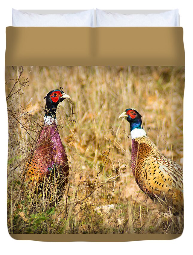 Bird Duvet Cover featuring the photograph Pheasant Friends by Bill Pevlor