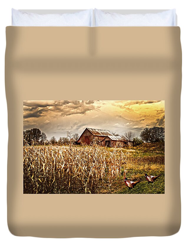 Pheasants Duvet Cover featuring the photograph Pheasants Heading For Corn Patch by Randall Branham