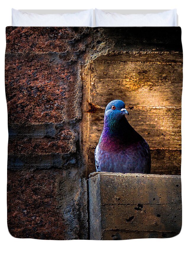 Pigeon Duvet Cover featuring the photograph Pigeon of the City by Bob Orsillo