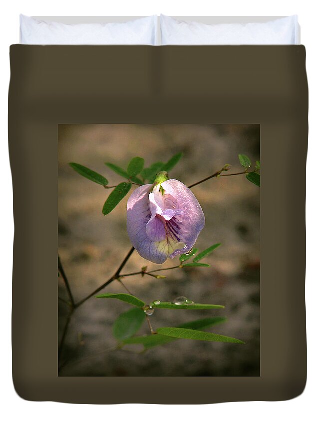 Nature Duvet Cover featuring the photograph Pigeon-wing by Peggy Urban