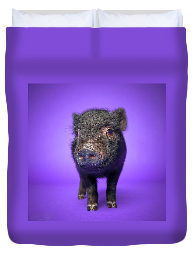 Pig Duvet Cover featuring the photograph Piglet by Square Dog Photography