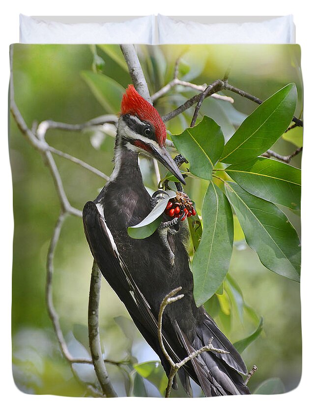Woodpecker Duvet Cover featuring the photograph Pileated Woodpecker by Kathy Baccari