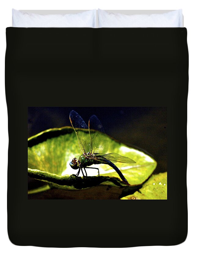 Dragonfly Duvet Cover featuring the photograph Pinao, Giant Hawaiian Dragonfly by Lehua Pekelo-Stearns