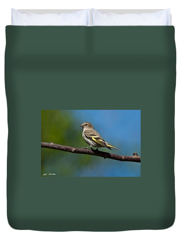 Animal Duvet Cover featuring the photograph Pine Siskin Perched on a Branch by Jeff Goulden