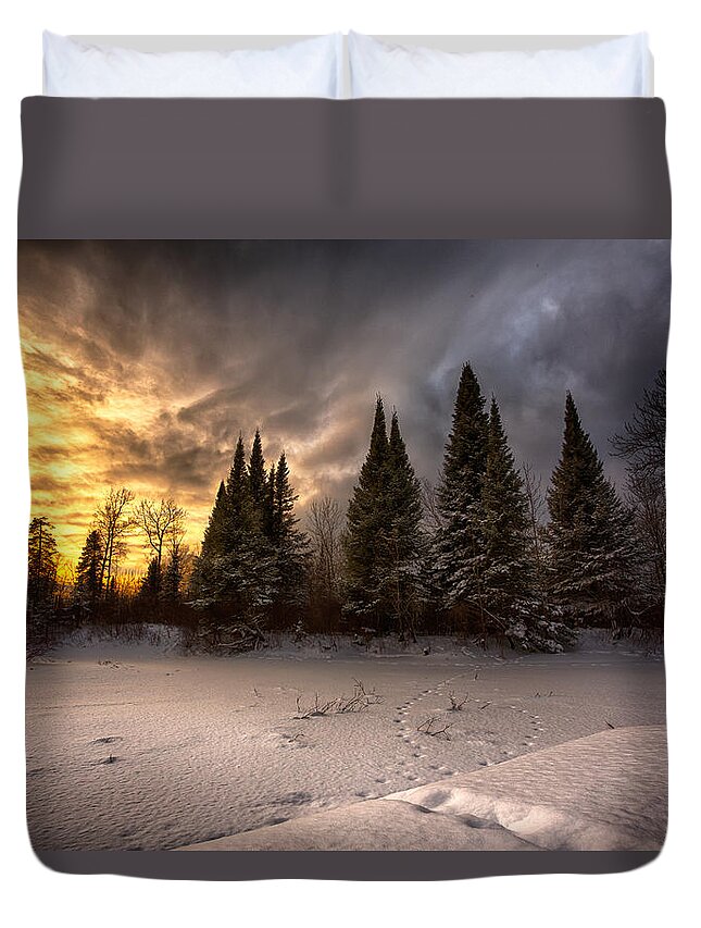 Bitter Duvet Cover featuring the photograph Pinewood River by Jakub Sisak