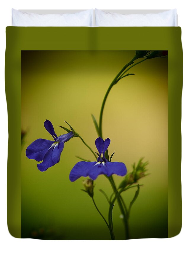 Flowers Duvet Cover featuring the photograph Pinhole View Of Lobelia by Dorothy Lee