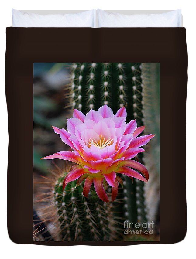 Cactus Duvet Cover featuring the photograph Pink Cactus Flower by Nancy Mueller