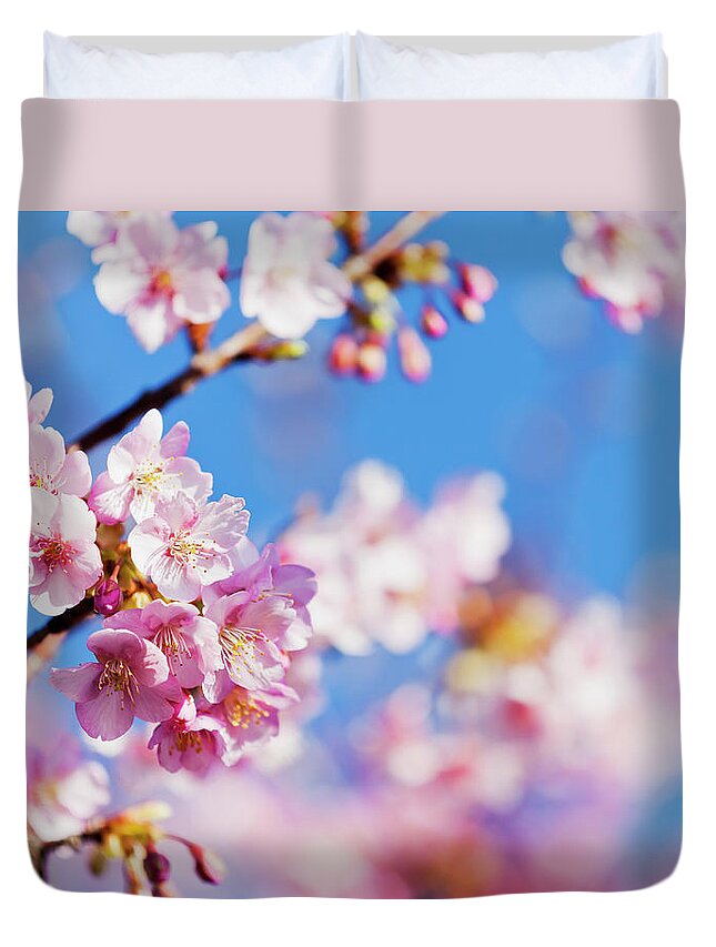 Scenics Duvet Cover featuring the photograph Pink Cherry Blossoms Against Clear Blue by Ooyoo