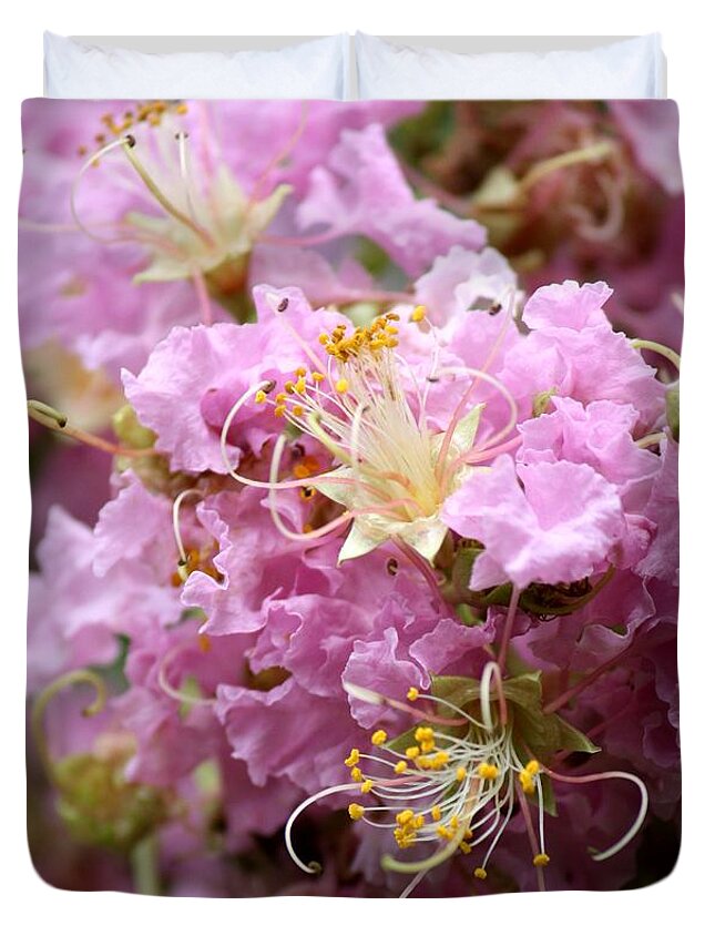 Lagerstroemia Duvet Cover featuring the photograph Pink Crepe Myrtle Closeup by Carol Groenen