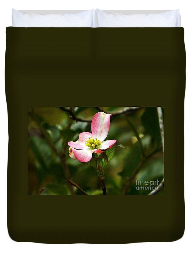 Dogwood Duvet Cover featuring the photograph Pink dogwood 2 by Andrea Anderegg