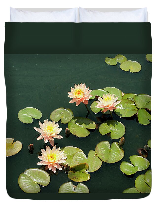 Tranquility Duvet Cover featuring the photograph Pink Grapefruit Water Lilies by David Mcglynn