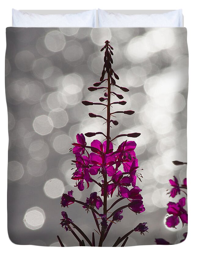 Fireweed Duvet Cover featuring the photograph Pink by Heiko Koehrer-Wagner