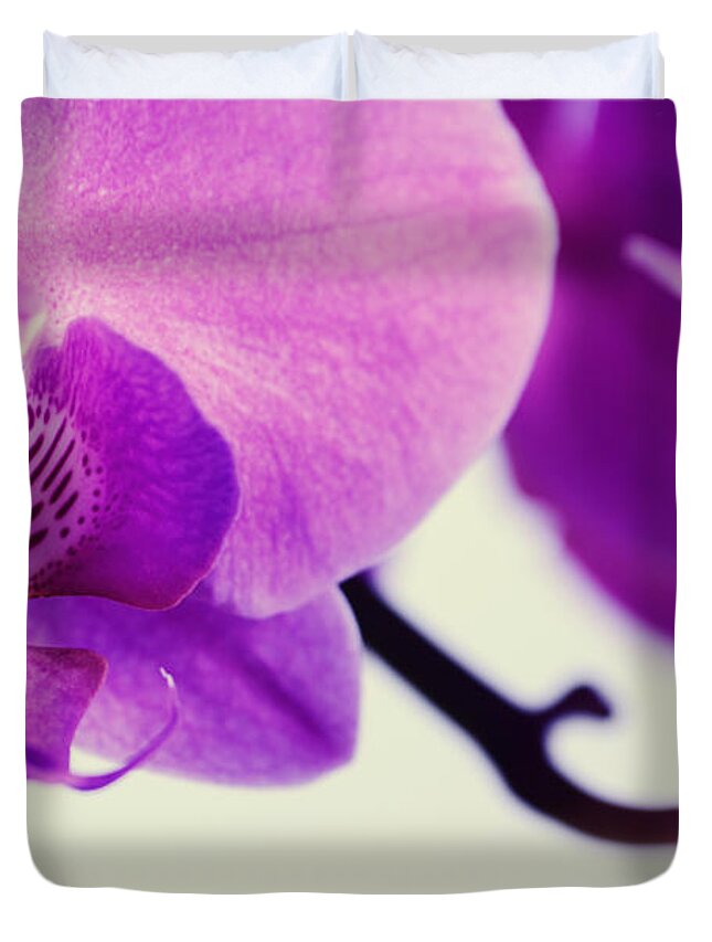 Orchids Duvet Cover featuring the photograph Pink Orchids Close-Up by Sabine Jacobs