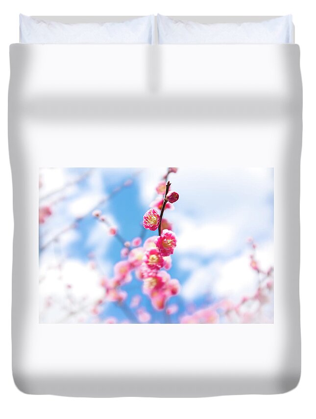 Hanging Duvet Cover featuring the photograph Pink Plum Blossoms by Marser