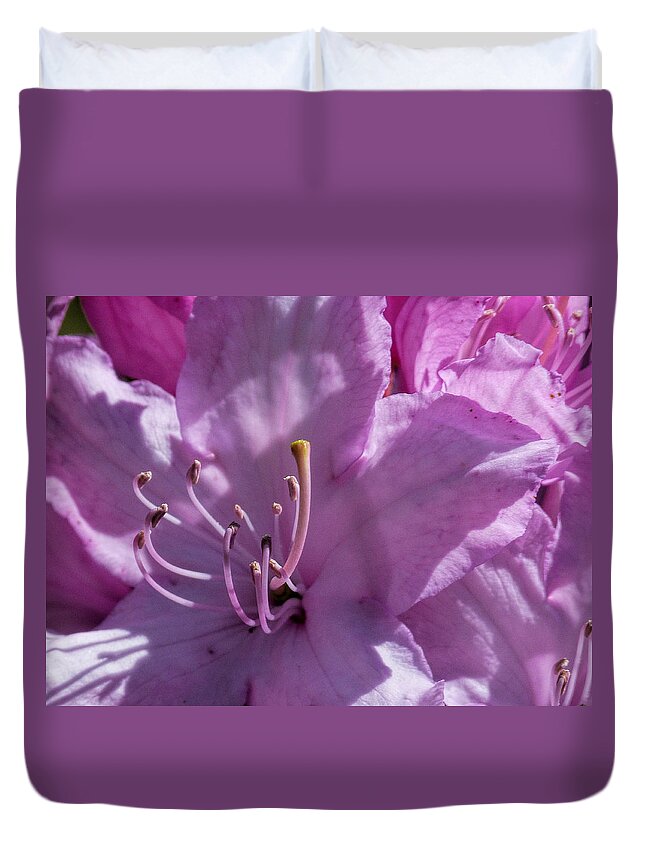 Rhododendron Duvet Cover featuring the photograph Pink Rhododendron by Lynn Bolt