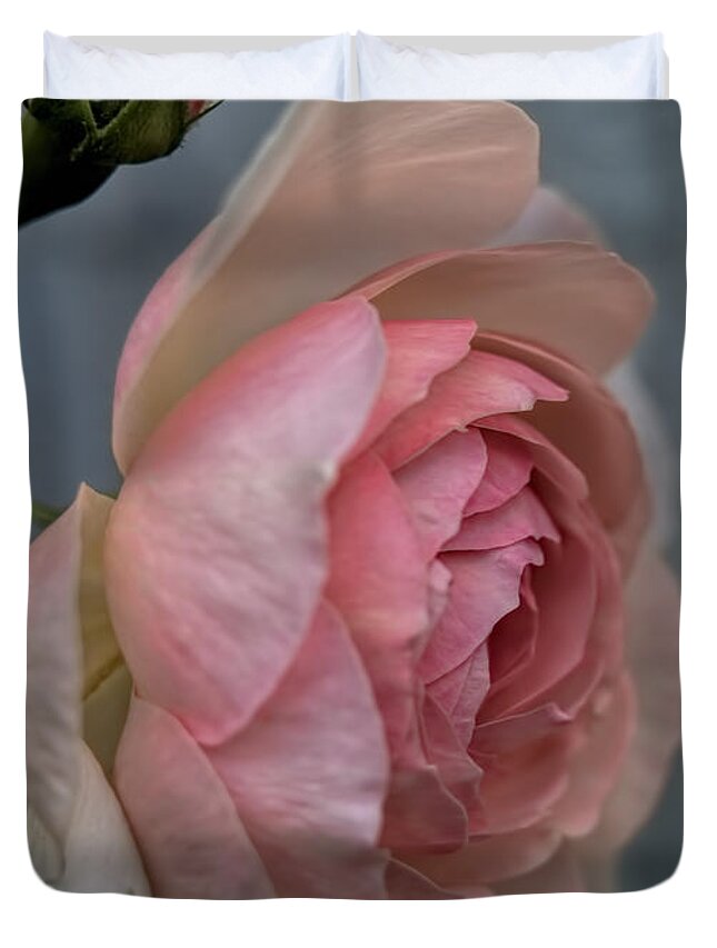 Rose Duvet Cover featuring the photograph Pink rose by Leif Sohlman