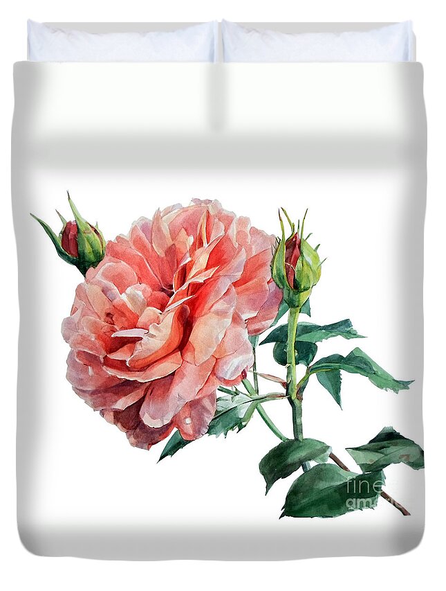Watercolors Duvet Cover featuring the painting Watercolor of an English Pink Rose by Greta Corens