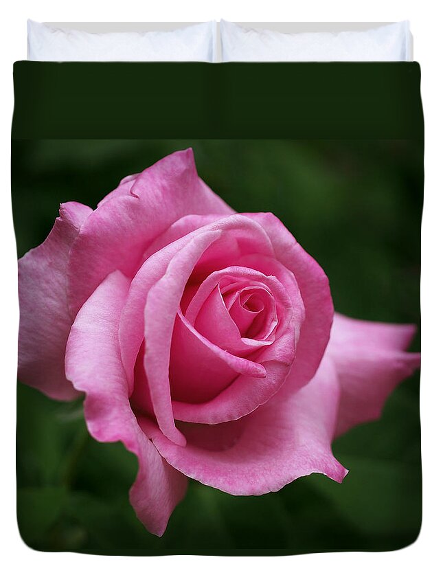 Rose Duvet Cover featuring the photograph Pink Rose Perfection by Rona Black