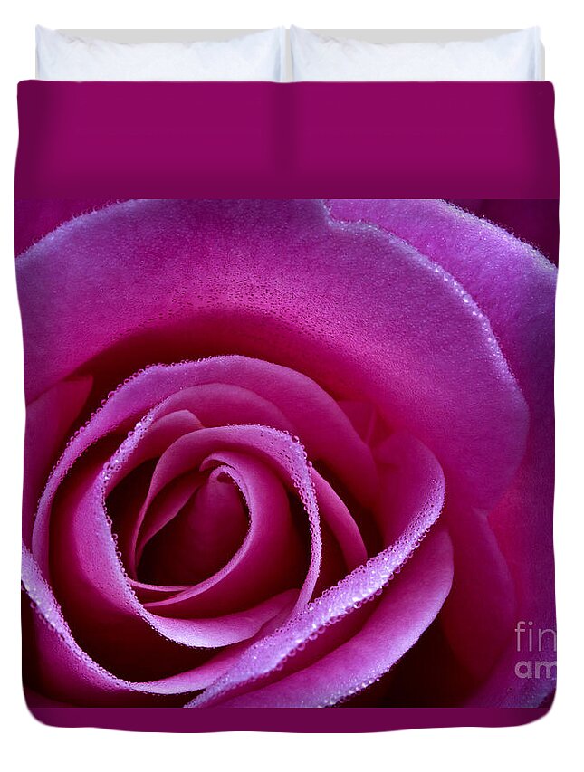 Pink Rose Duvet Cover featuring the photograph Pink Rose with dew drops by Carrie Cranwill
