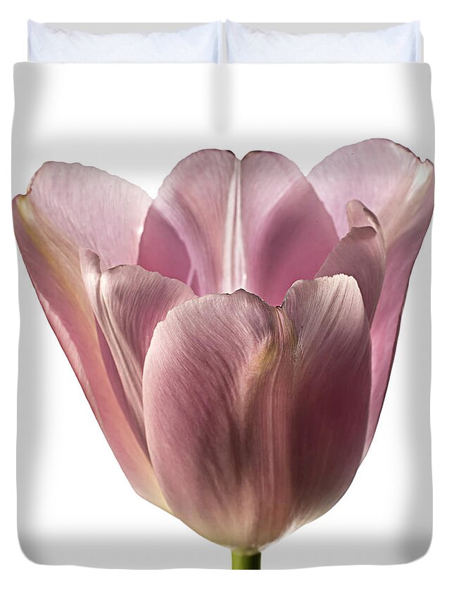 Flower Duvet Cover featuring the photograph Pink Tulip 2 by Endre Balogh