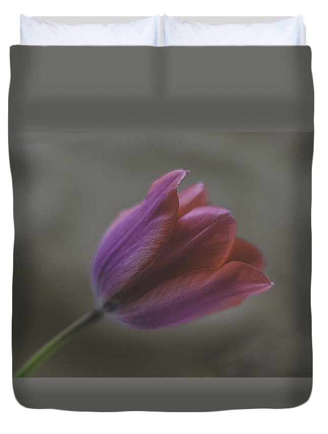 Pink Tulip Duvet Cover featuring the photograph Pink Tulip by Ron Roberts
