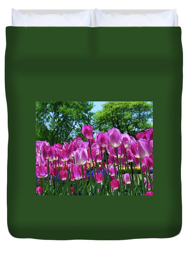 Pink Tulips Duvet Cover featuring the photograph Pink Tulips by Allen Beatty