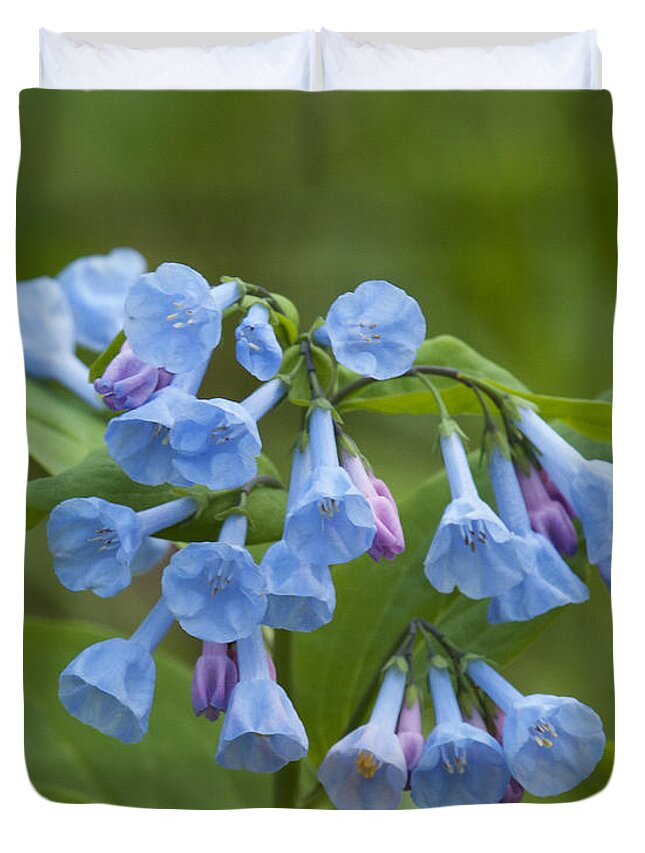 Spring Duvet Cover featuring the photograph Pink Virginia Bluebells or Virginia Cowslip DSPF265 by Gerry Gantt