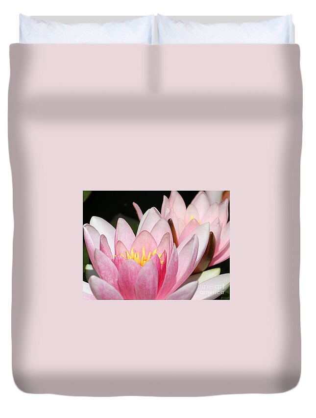 Lilies Duvet Cover featuring the photograph Pink Water Lily by Amanda Mohler