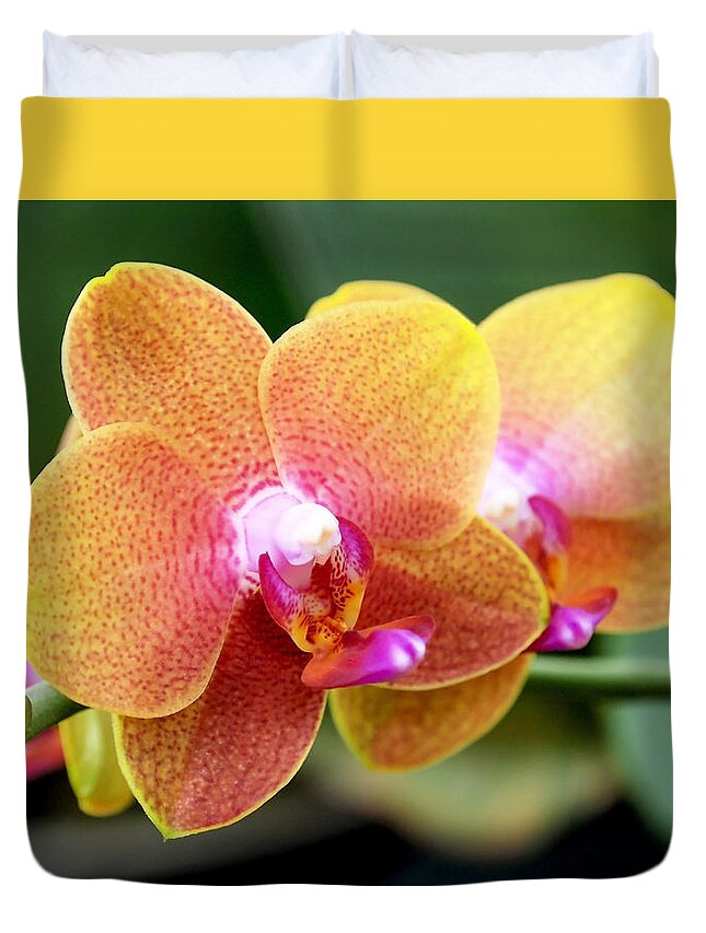 Orchid Duvet Cover featuring the photograph Pink Yellow Orchid by Rona Black
