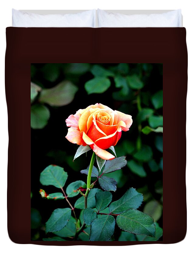 Rose Duvet Cover featuring the photograph Pinkish Peach by Jay Milo