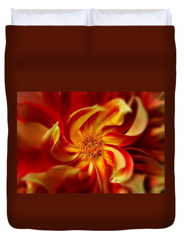 Background Duvet Cover featuring the photograph Pinwheel by Mary Jo Allen