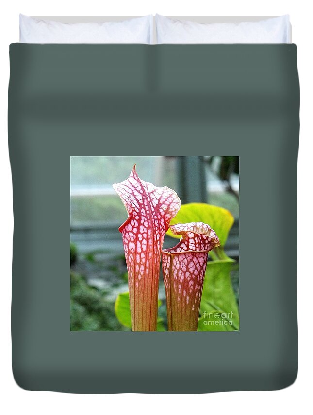 Carnivorous Duvet Cover featuring the photograph Pitcher Pair by Nancy Mueller