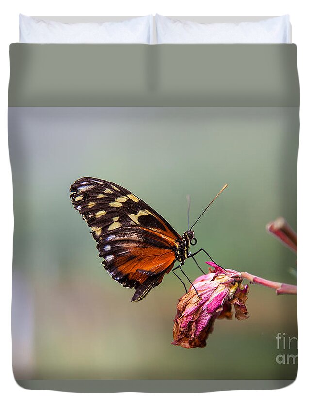 Plain Tiger Butterfly On Dead Flower Duvet Cover For Sale By Shaun