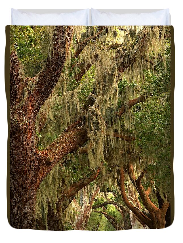 Avenue Of The Oaks Duvet Cover featuring the photograph Plantation Oak Trees by Adam Jewell
