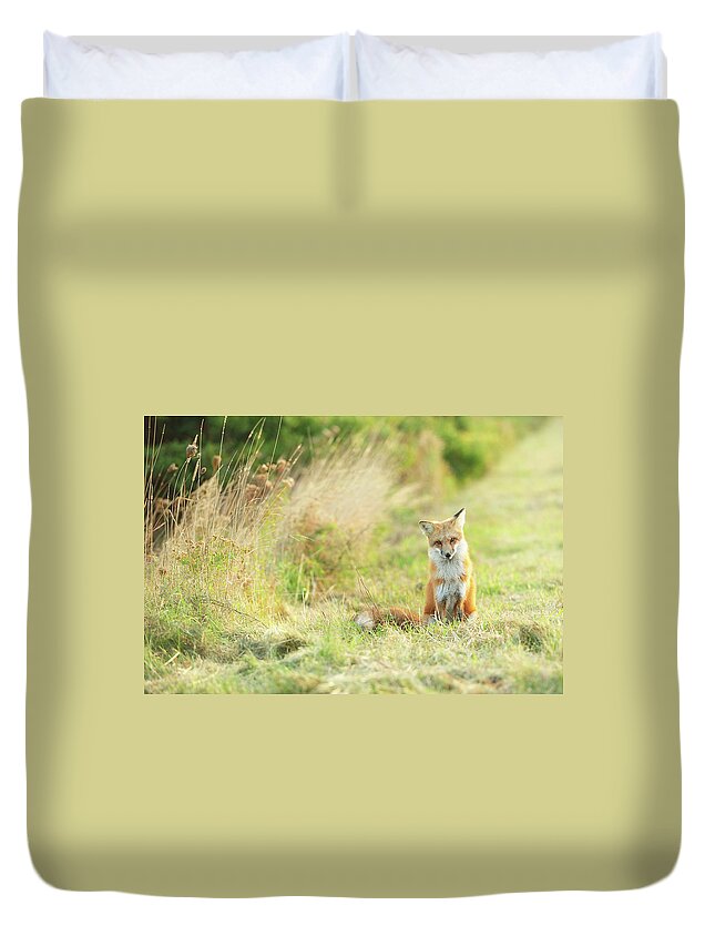 Grass Duvet Cover featuring the photograph Plenty Of Cuteness by Yu Liu Photography